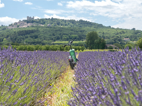 Explora Trott-索格岛必去景点