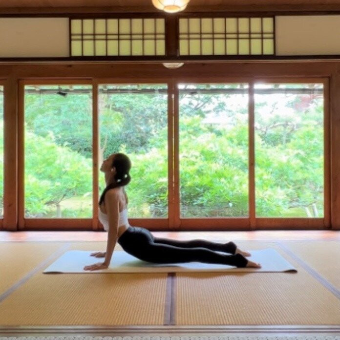Kyoto Yoga-京都市必去景点