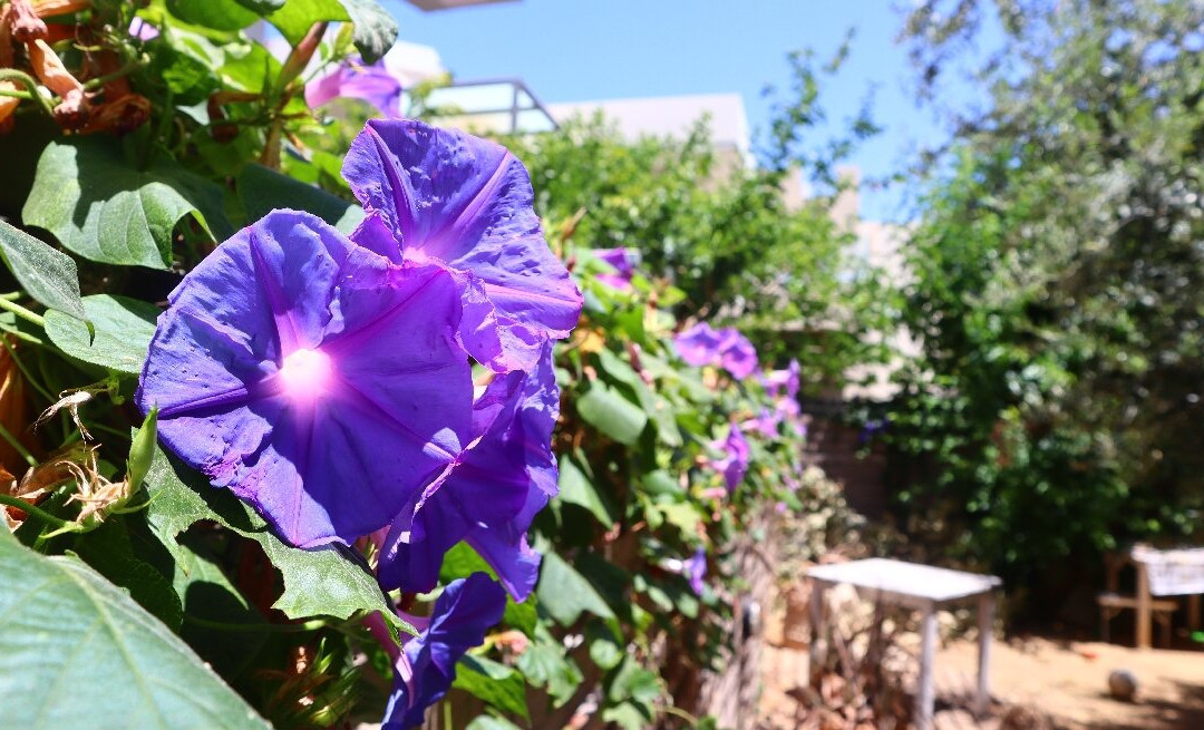 Kosmos A.G.K Studios-Apts主图