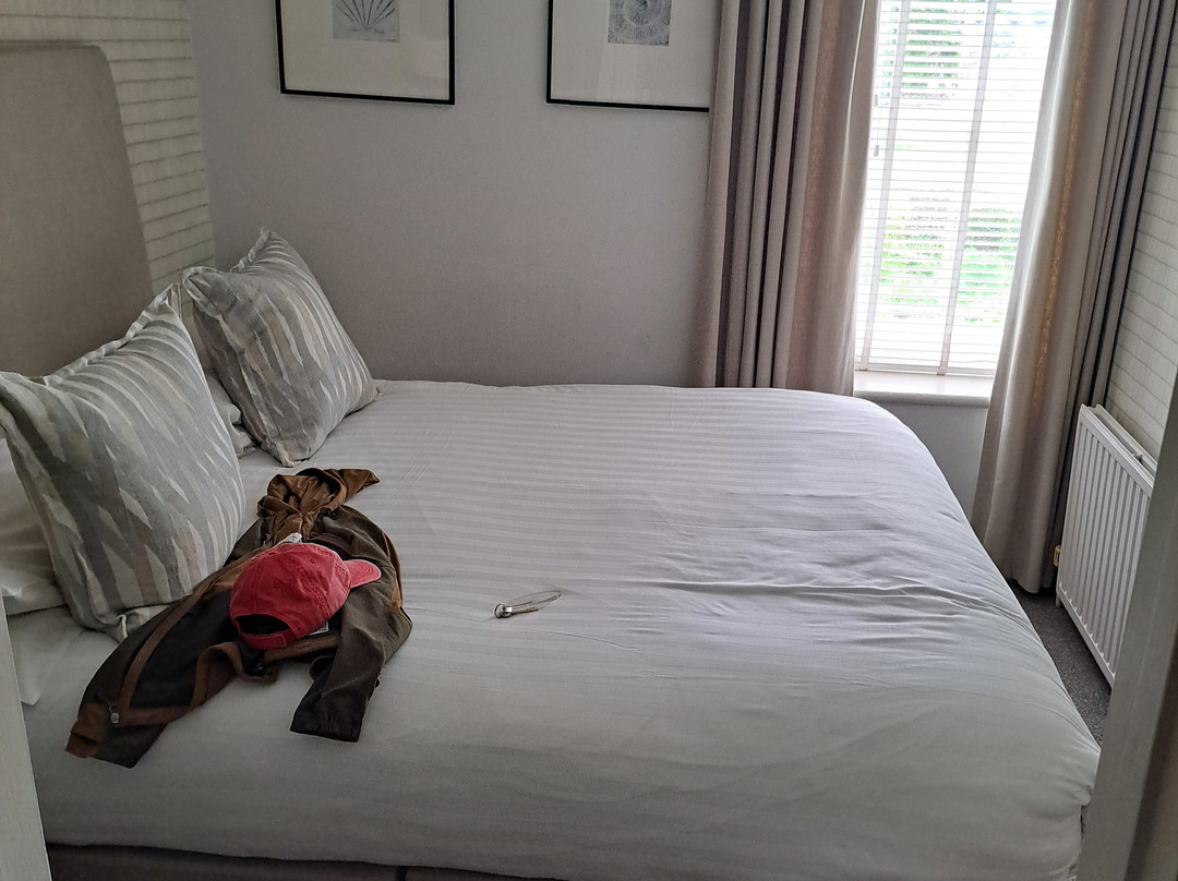 OYO Lamphey Hall Hotel主图