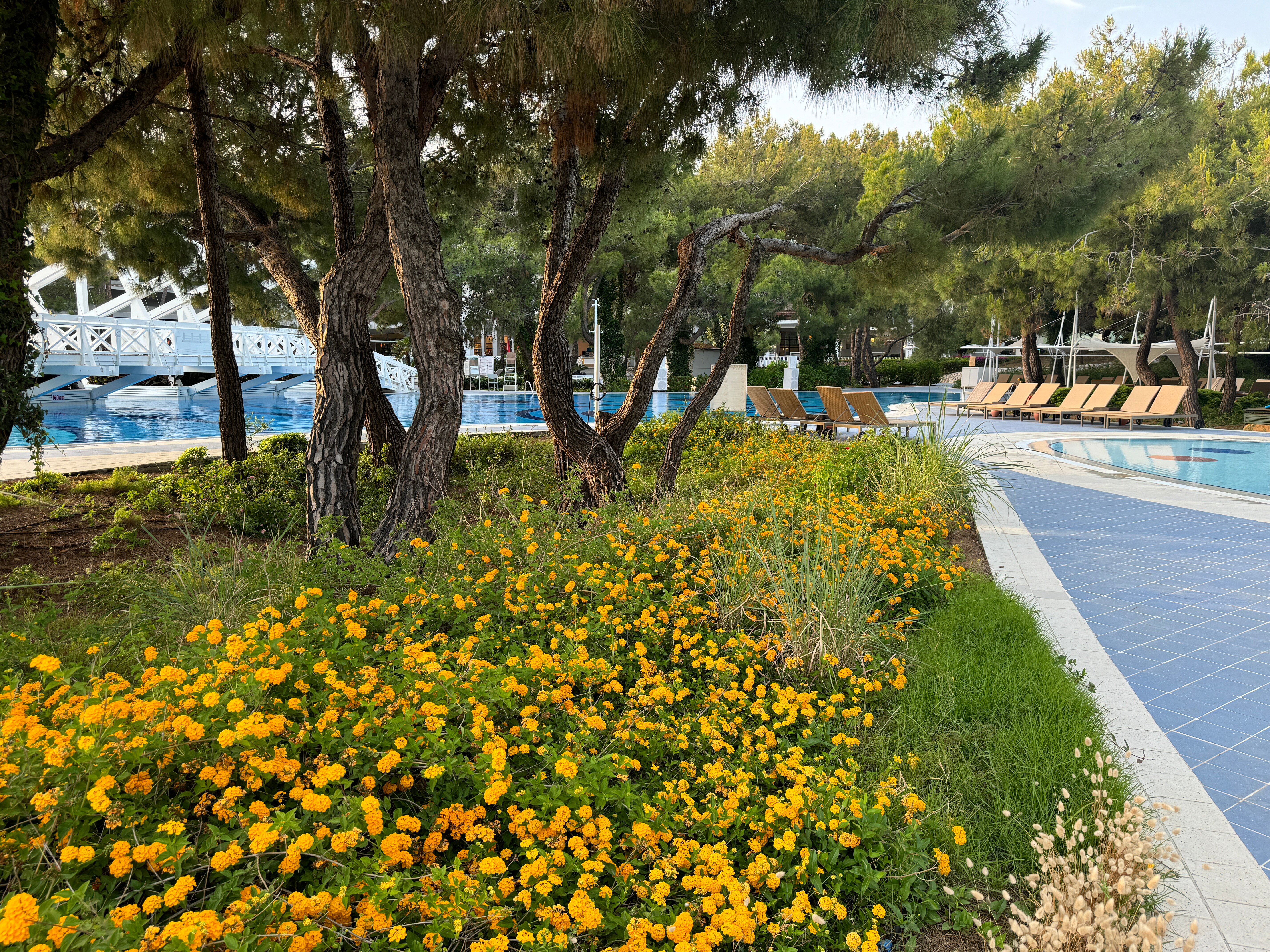 Lykia World Antalya-泳池