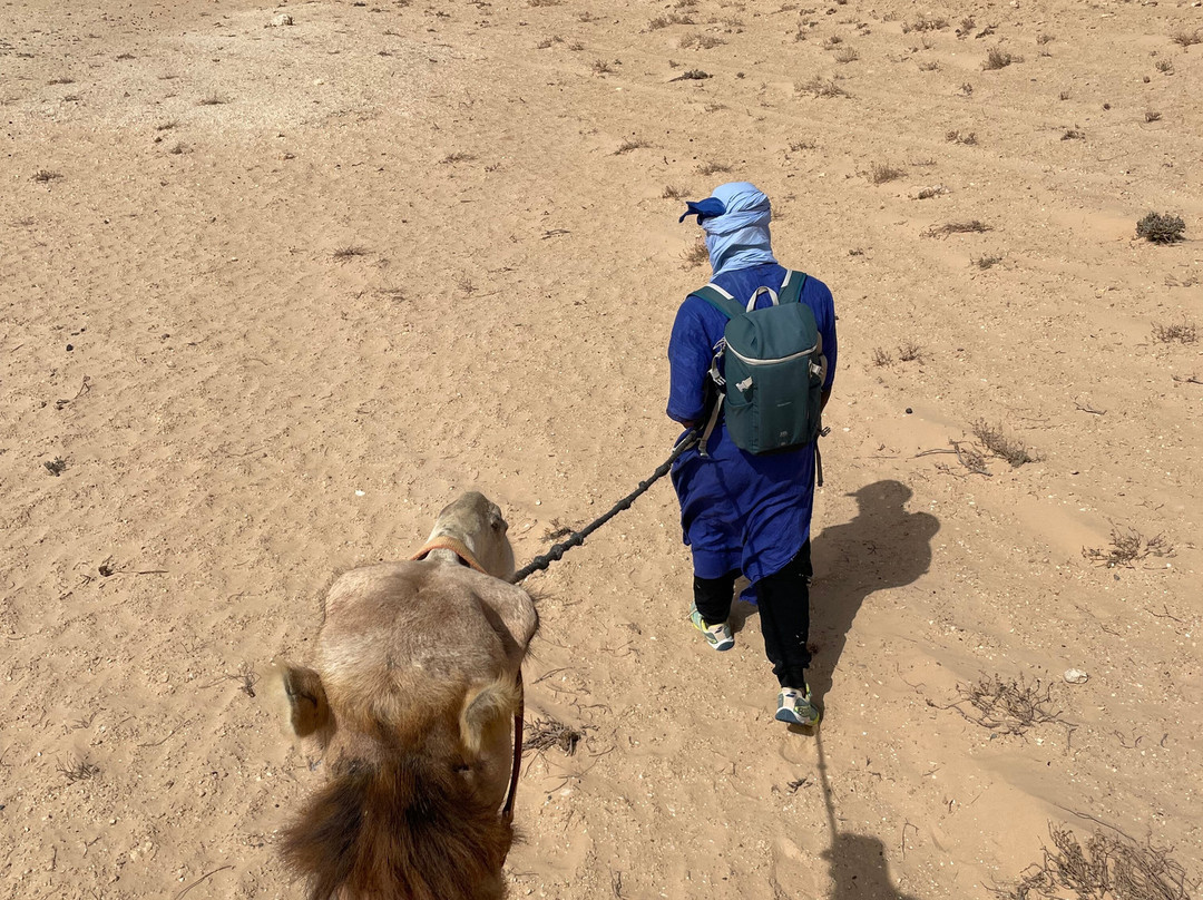 DAKHLA RIDE ADVENTURES-达赫拉必去景点