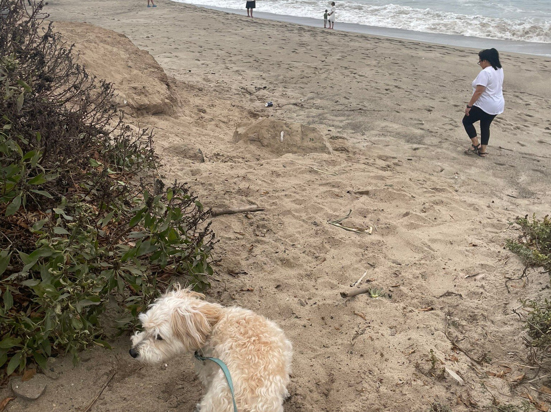 Sycamore Cove Beach-马里布必去景点