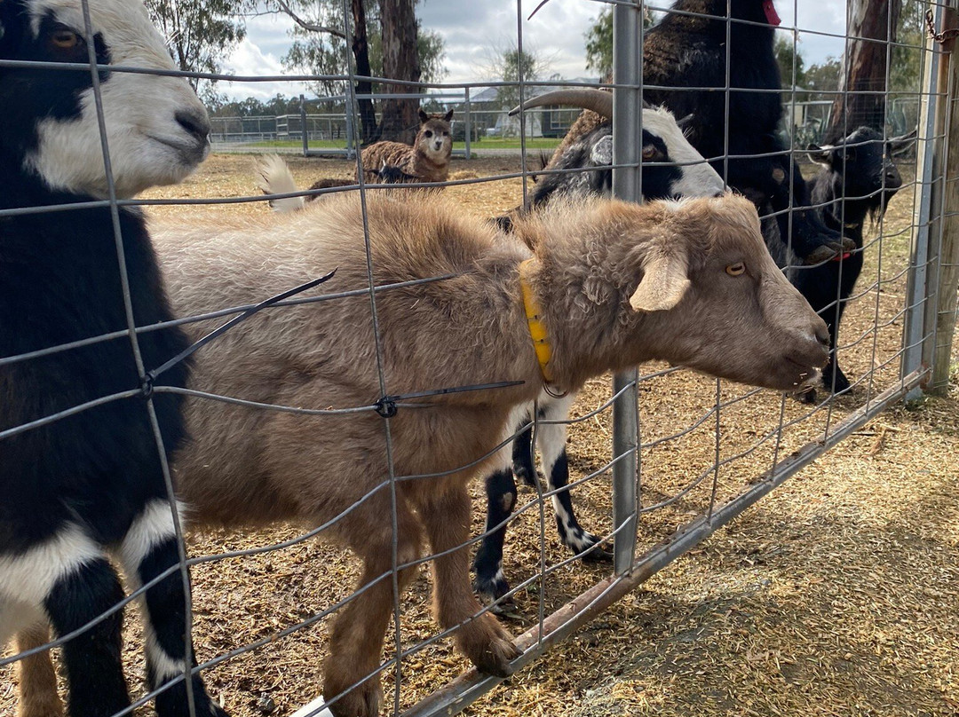 Billabong Ranch-伊丘卡必去景点