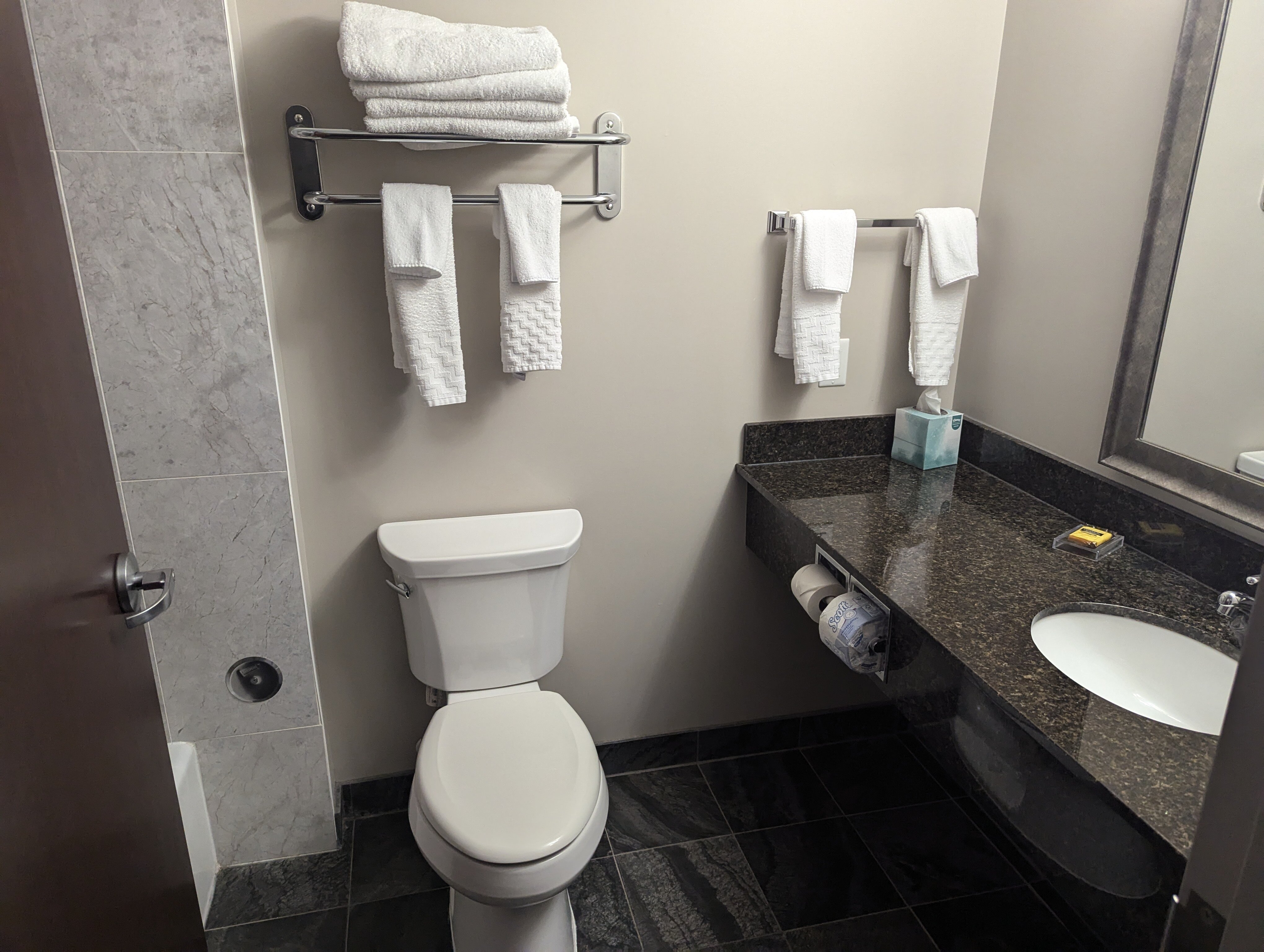 Best Western Plus Brandon Inn-浴室