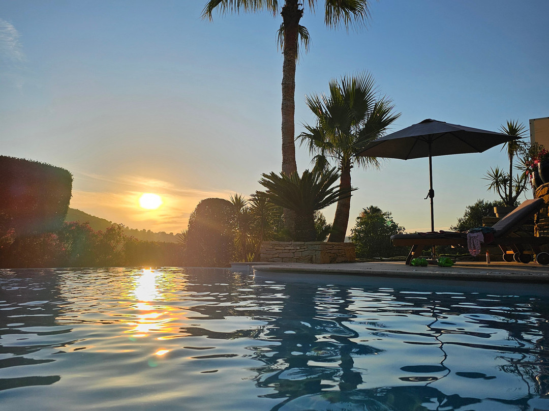 La Cigale sous l'Olivier主图