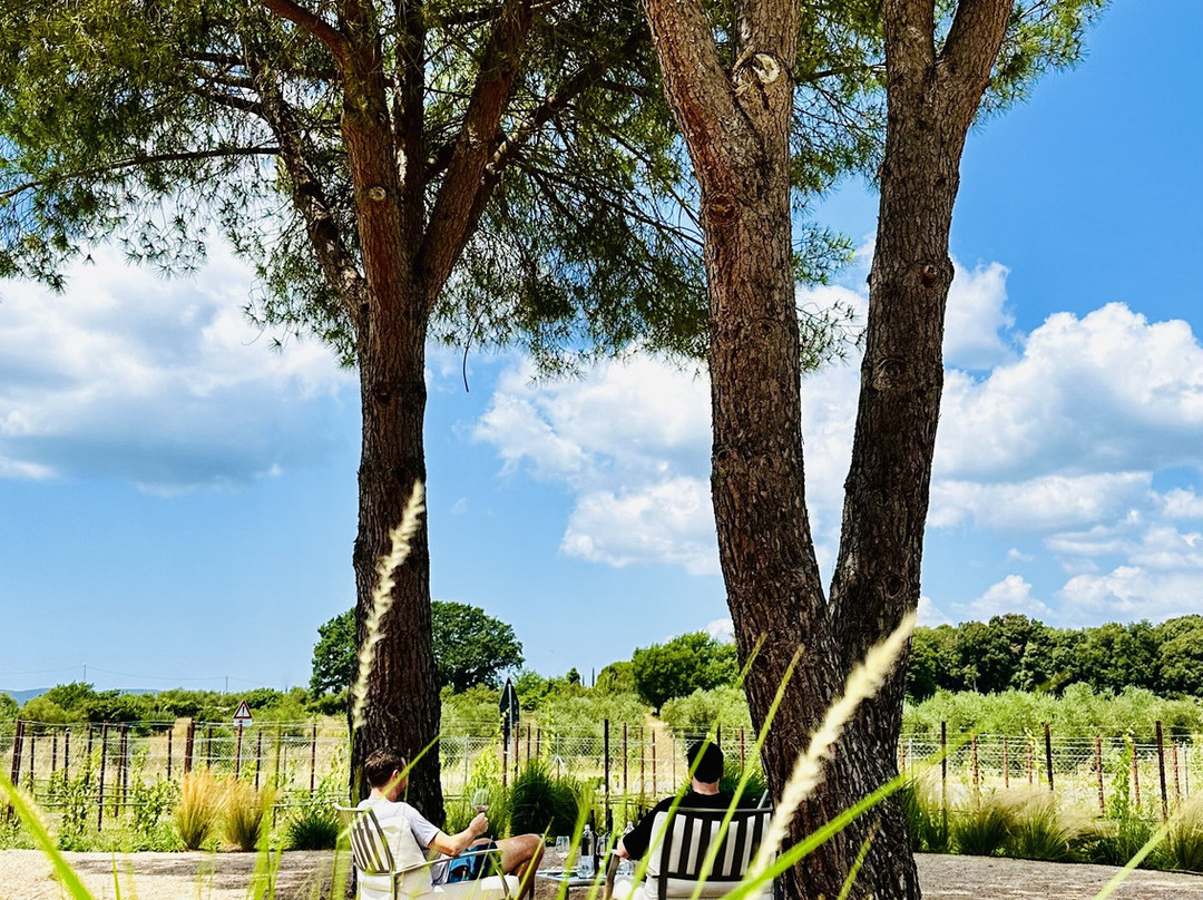 Tenuta il Tesoro, Arillo in Terrabianca景点图片