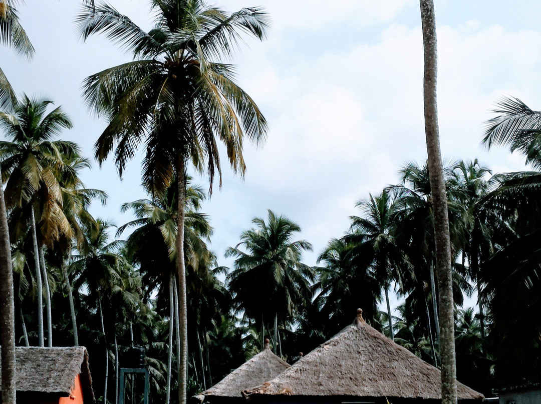 Bethel Evasion主图