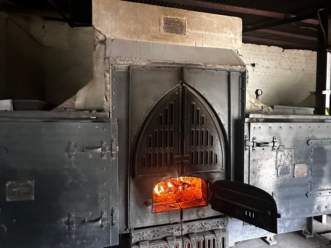 Blue Field Tea Factory-拉马伯达必去景点