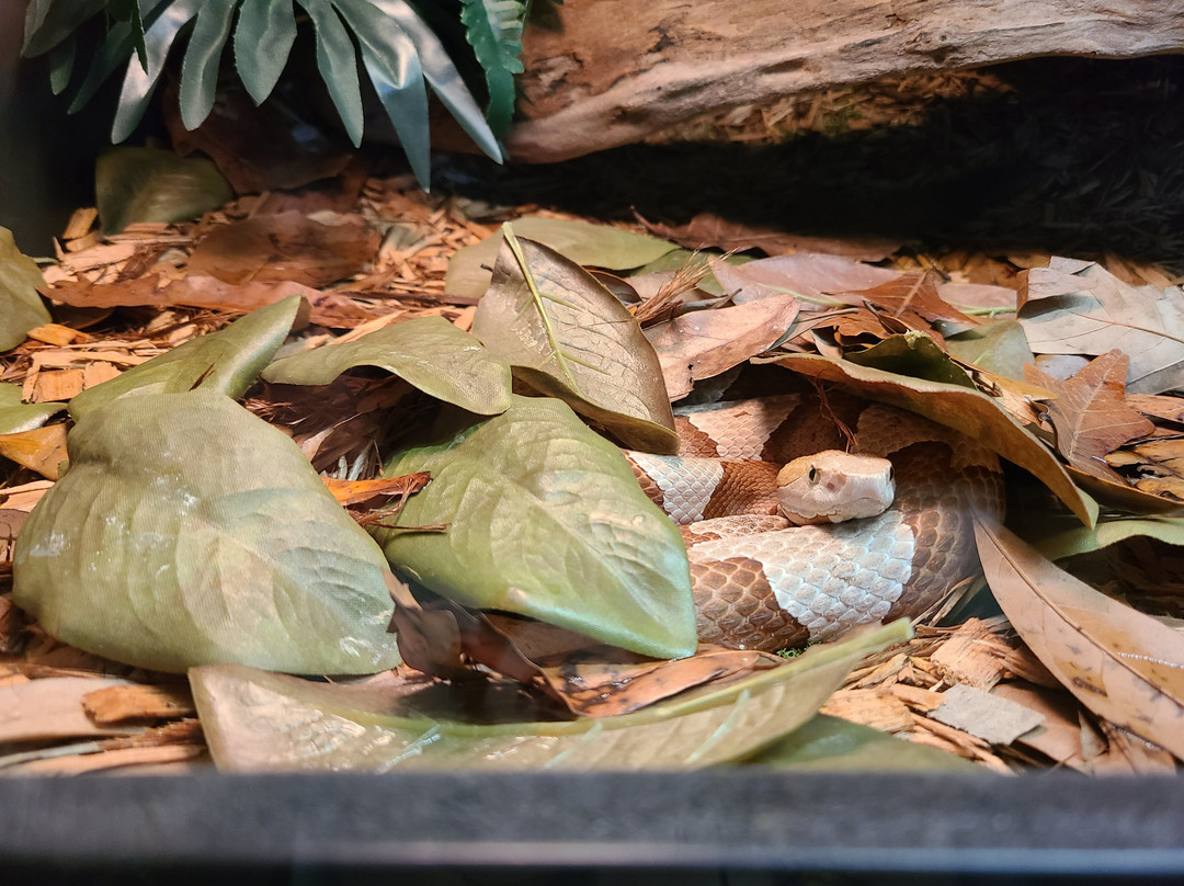 The Serpent Center-Vance必去景点