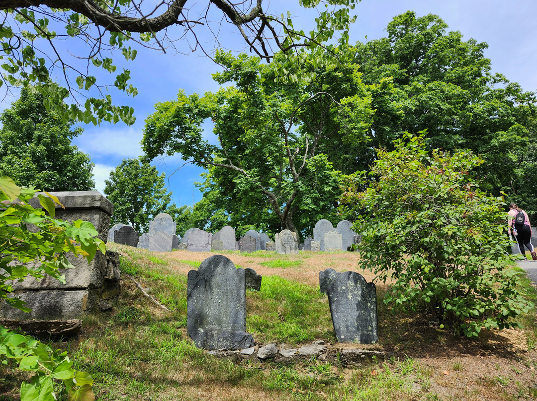 Emerson-Thoreau Amble-康科德必去景点