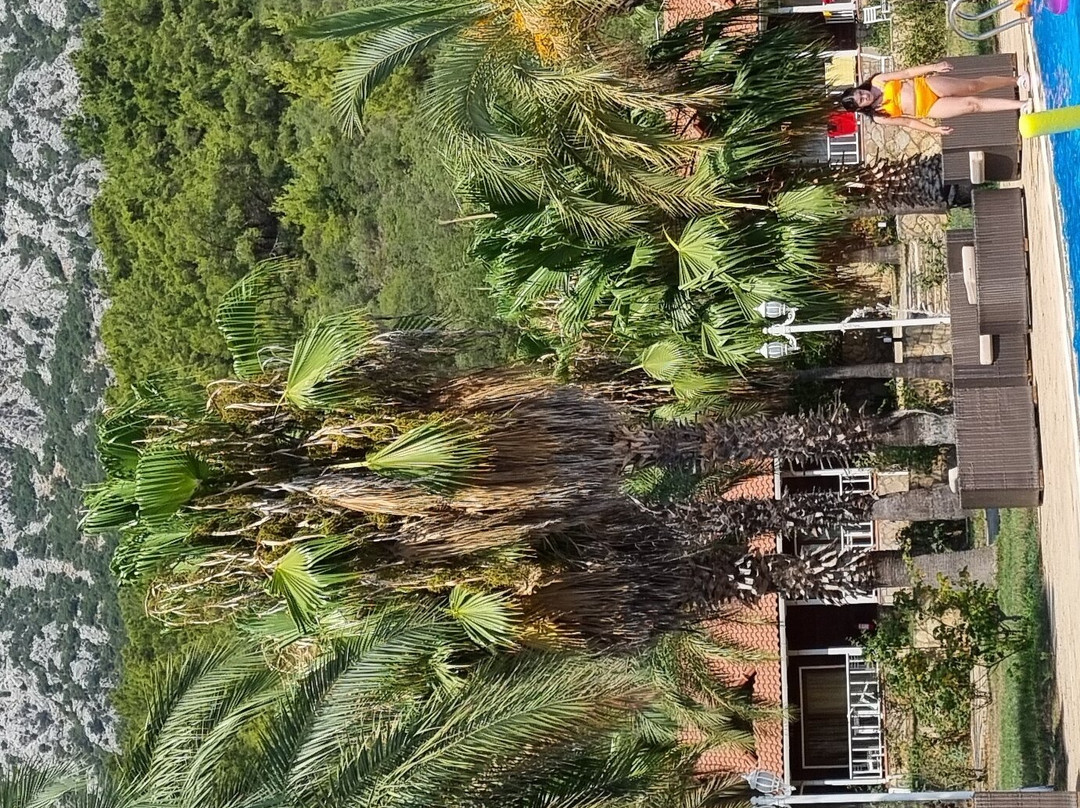 Club Sun Village主图