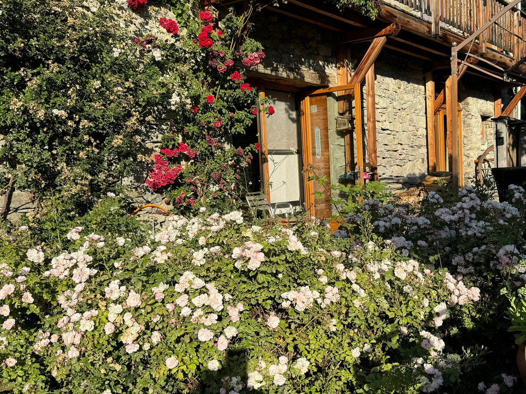 Le Moulin Ollivier主图