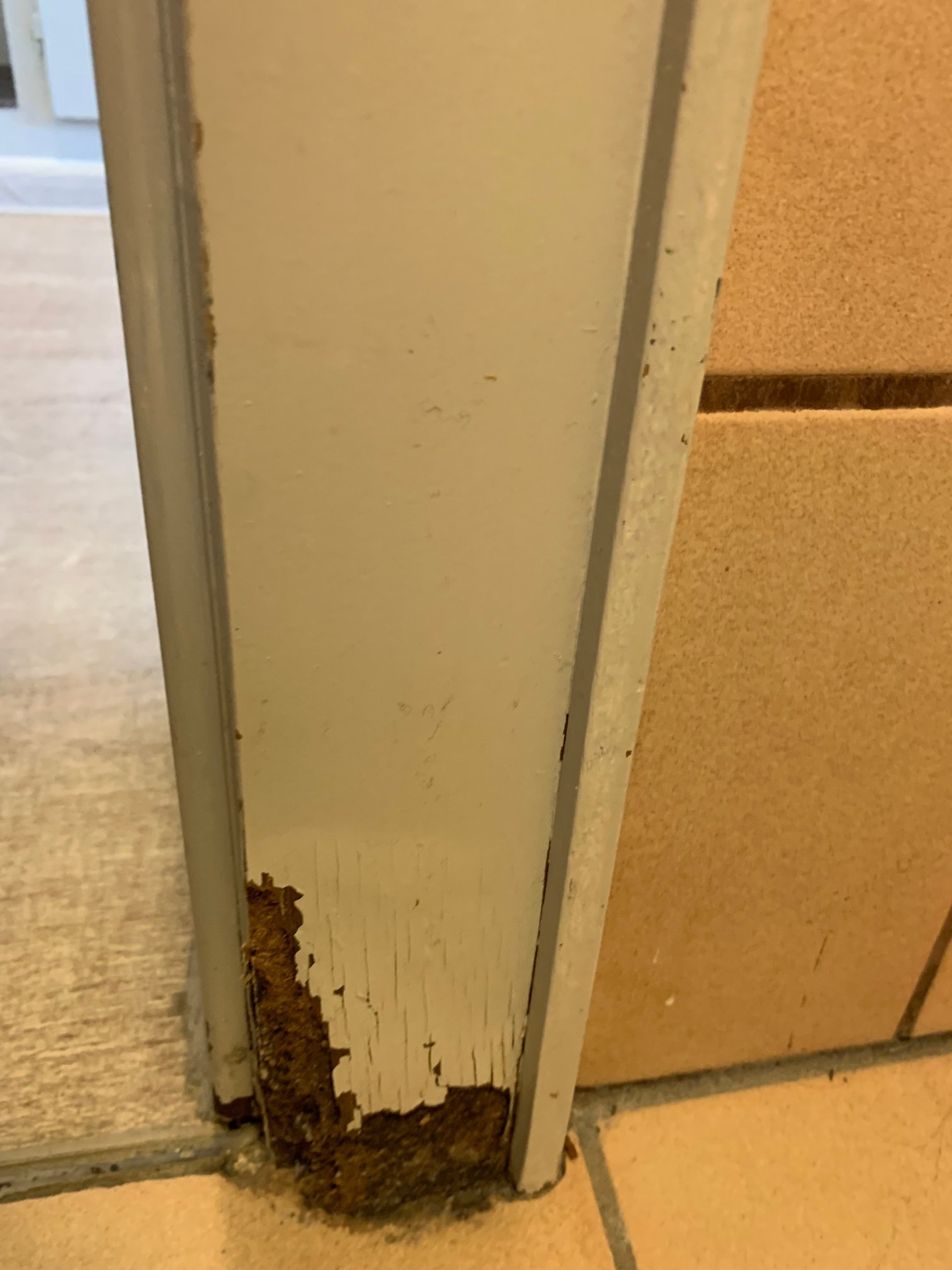 Hotel Marleen-浴室