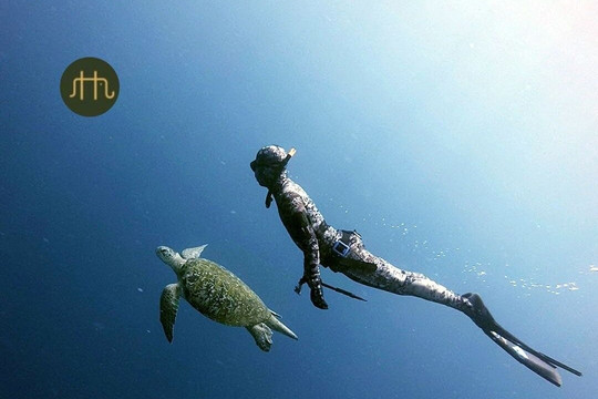 Happy Hathi Expeditions-孟买必去景点