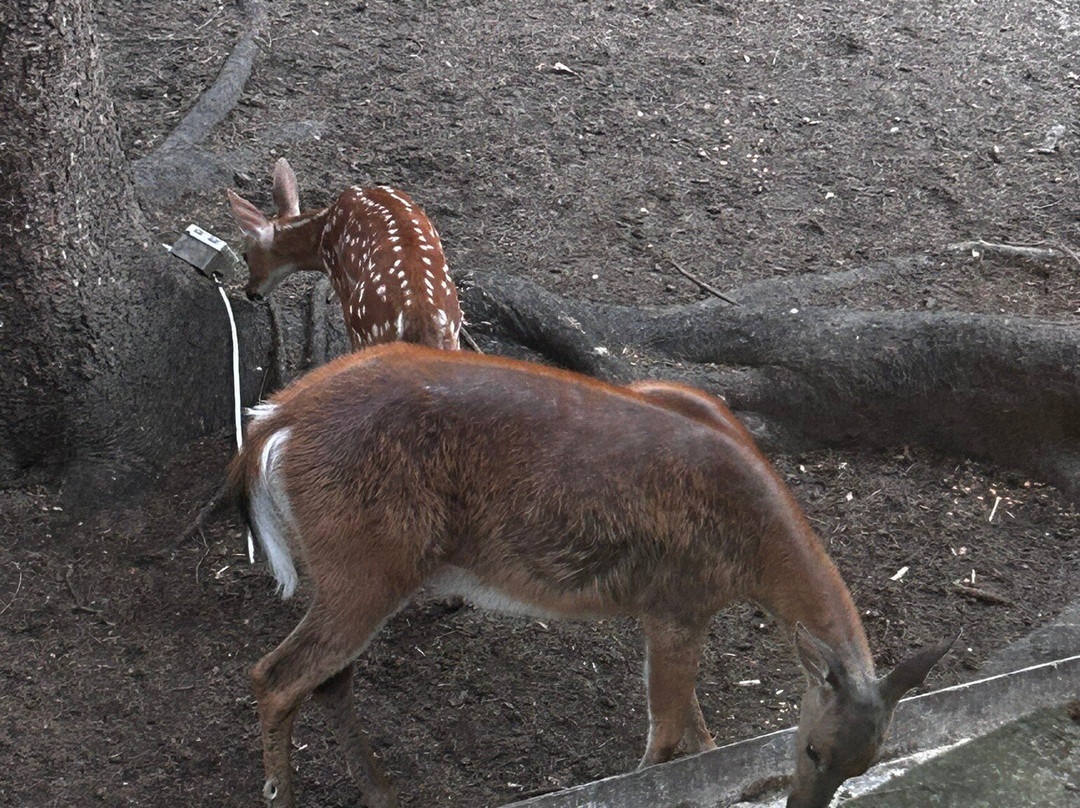 Auberge Mountain View Inn主图