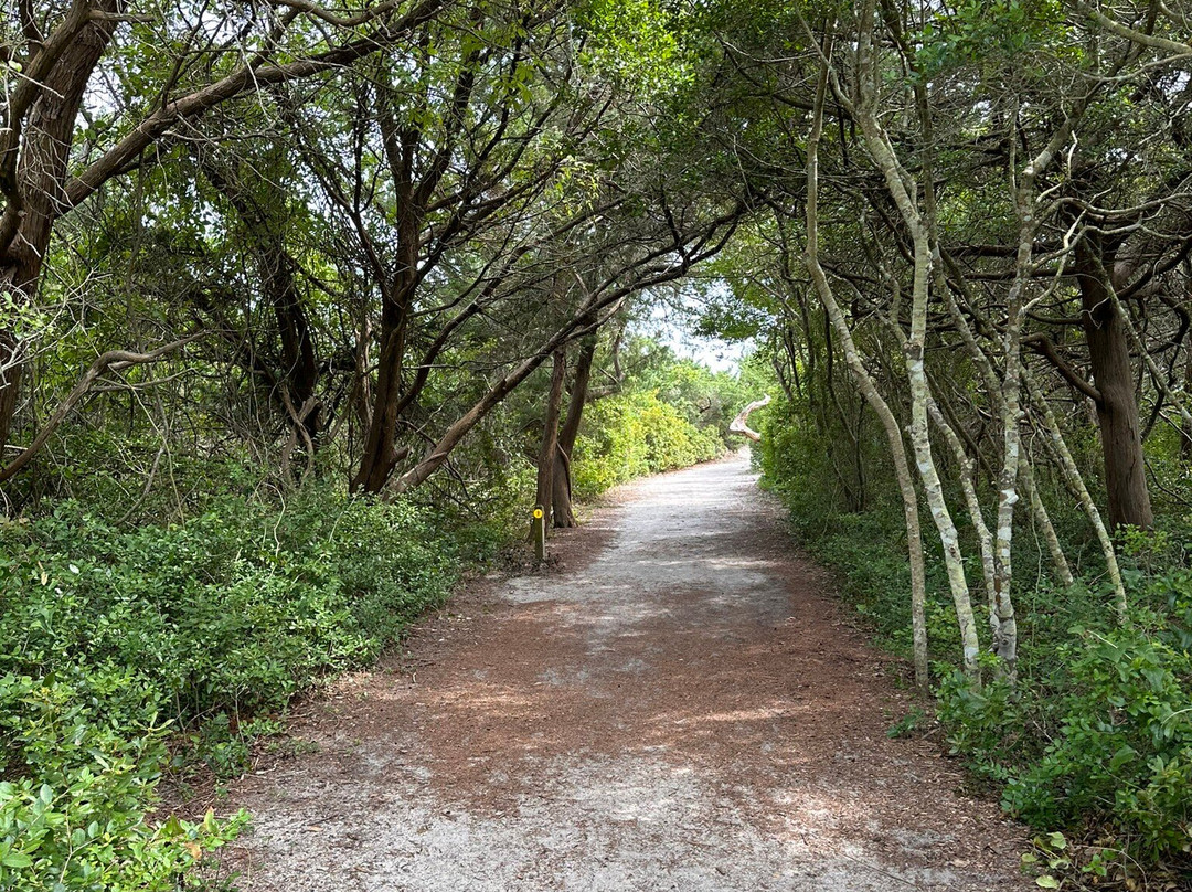 Hampton Inn Havelock主图