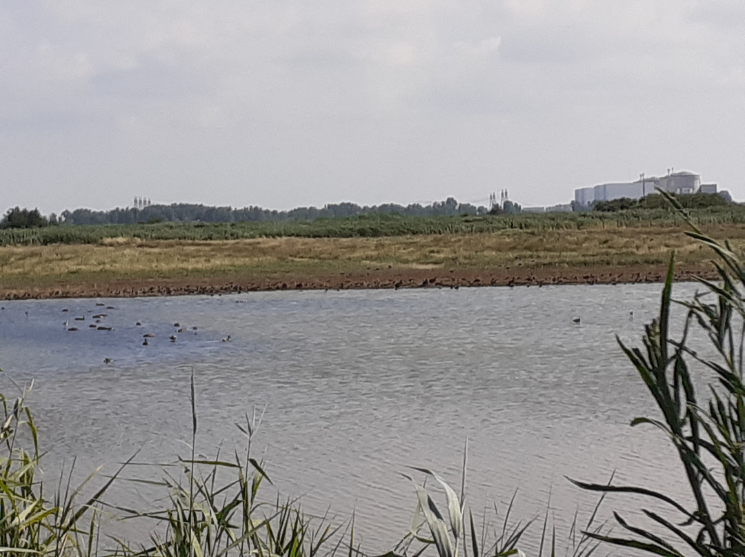 Terres d'Oiseaux景点图片