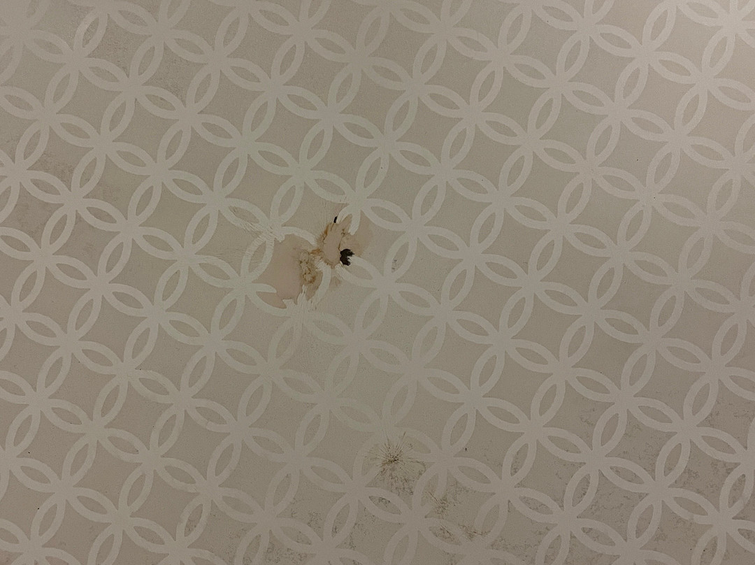 普瑞米尔奥克兰主教酒店主图