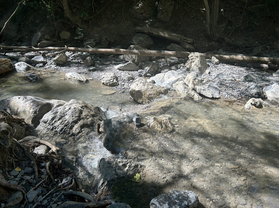 Cascade de l'Arpenaz-萨朗什必去景点