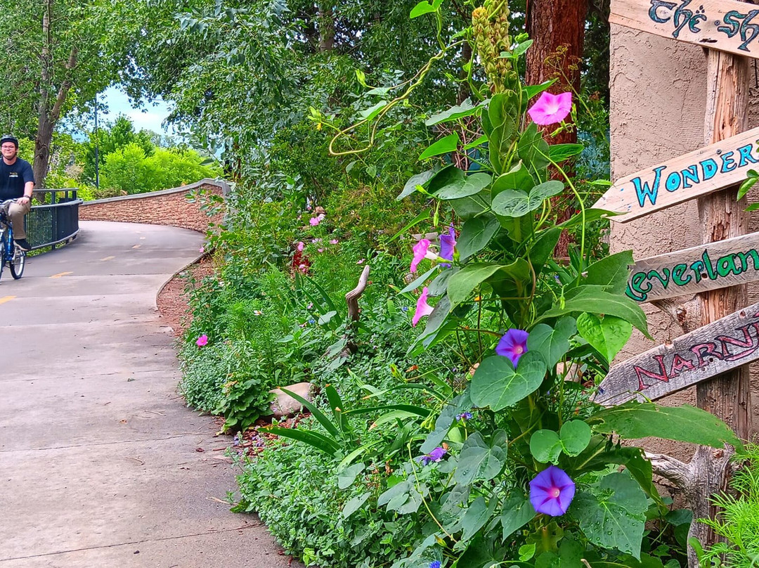 White Rabbit Books and Curiosities-杜兰戈必去景点