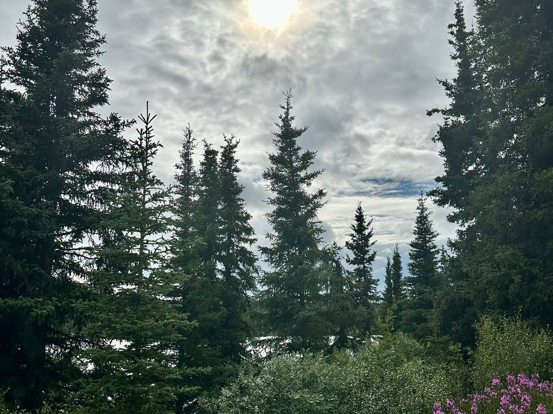 Nabesna Road-Slana必去景点