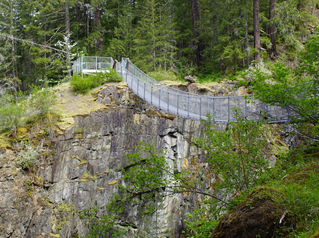Elk Falls Suspension Bridge景点图片