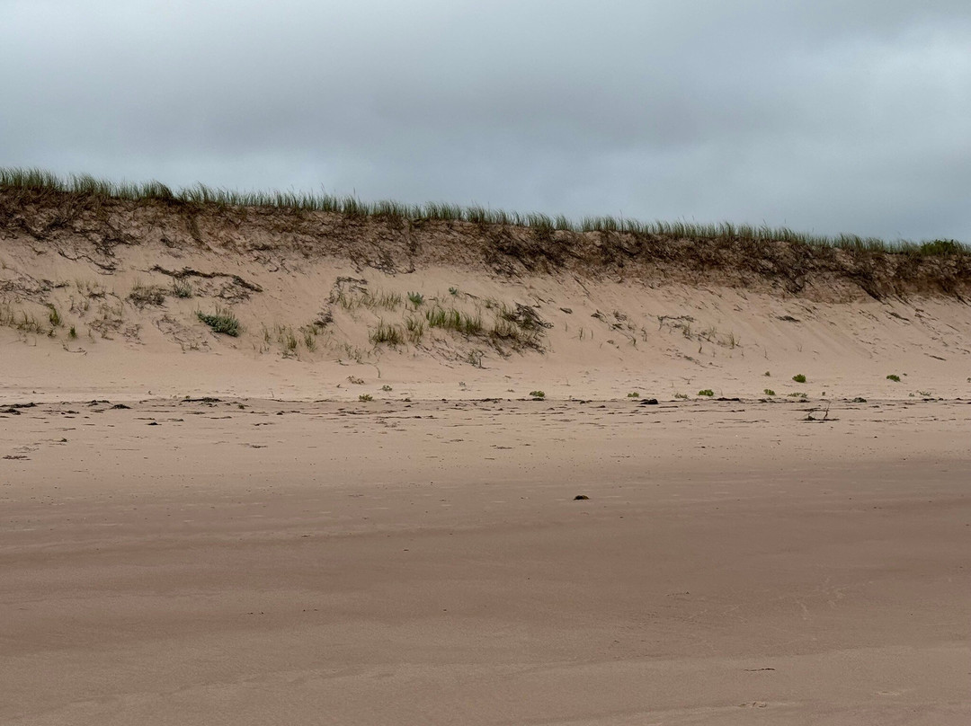 Basin Head Provincial Park-Souris必去景点