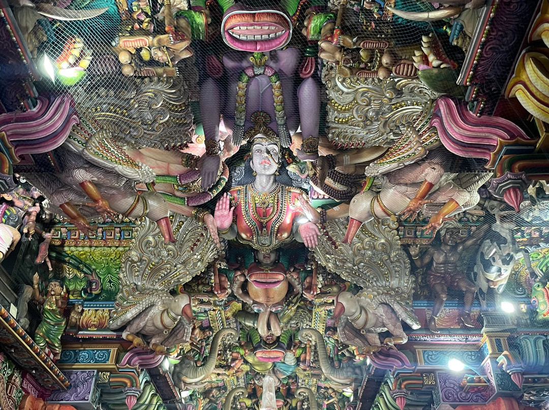 Visit Sri Lanka Transfers景点图片