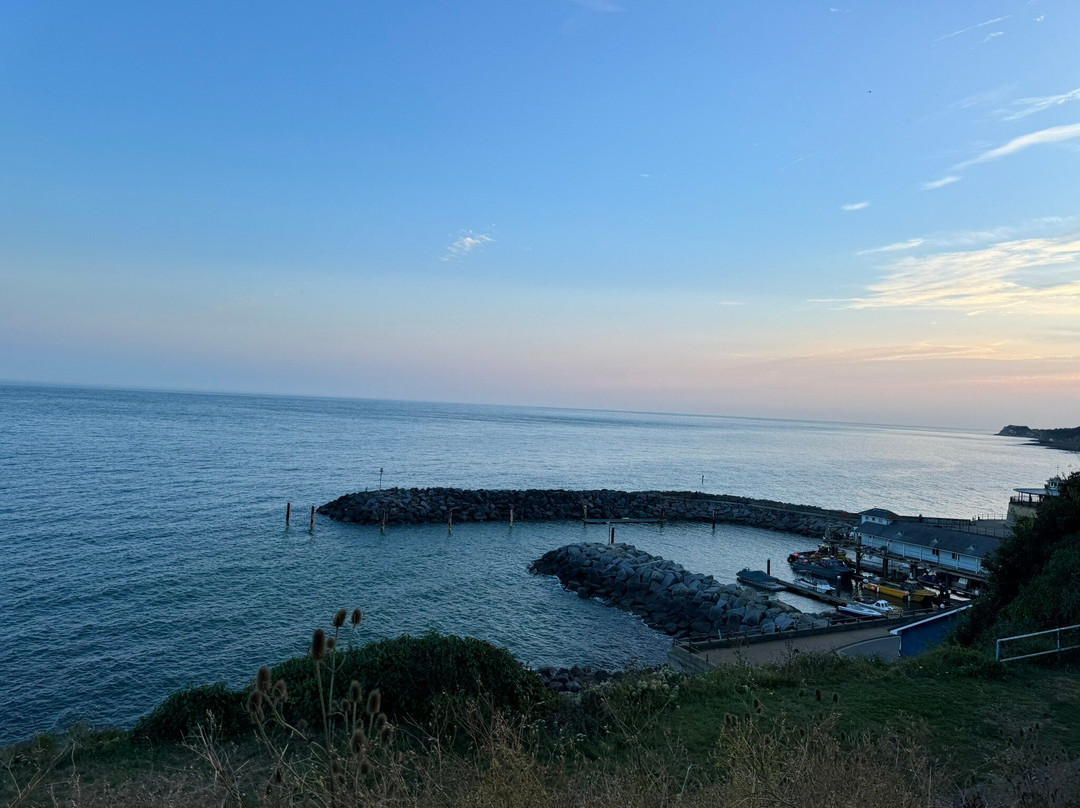 Ventnor Beach景点图片