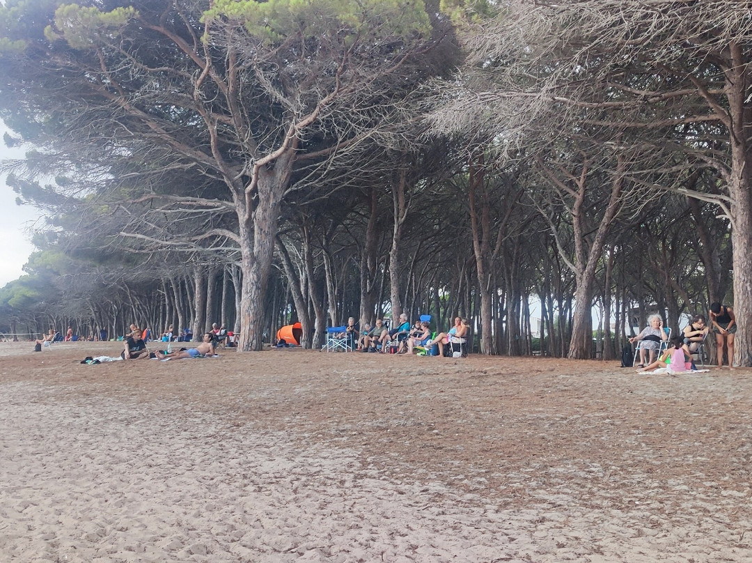 Spiaggia Di San Giovanni