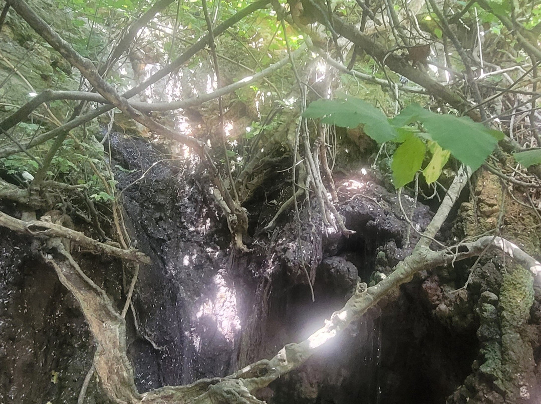 The Super Team 4x4 Adventures-Mandria必去景点