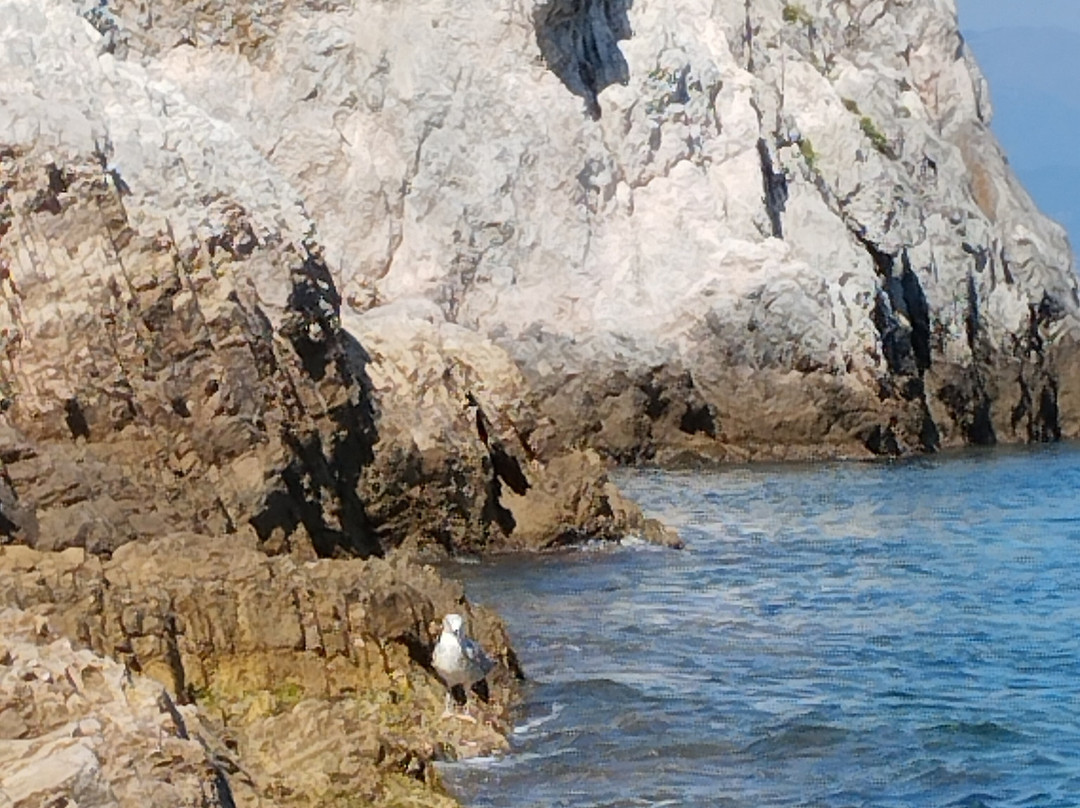 Cala degli Inglesi景点图片