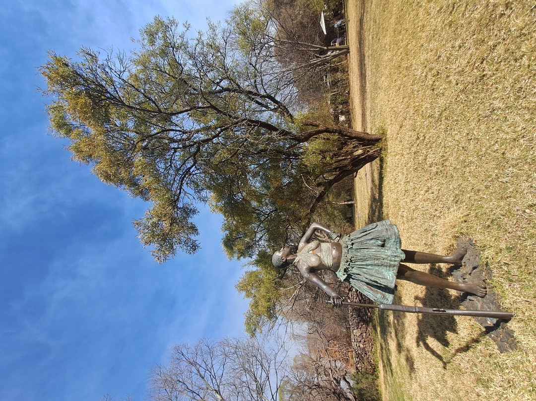 Nirox Sculpture Park景点图片