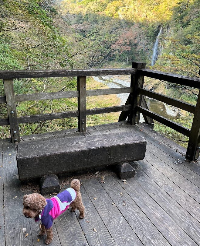 Mikaeri Waterfalls-那须盐原市必去景点
