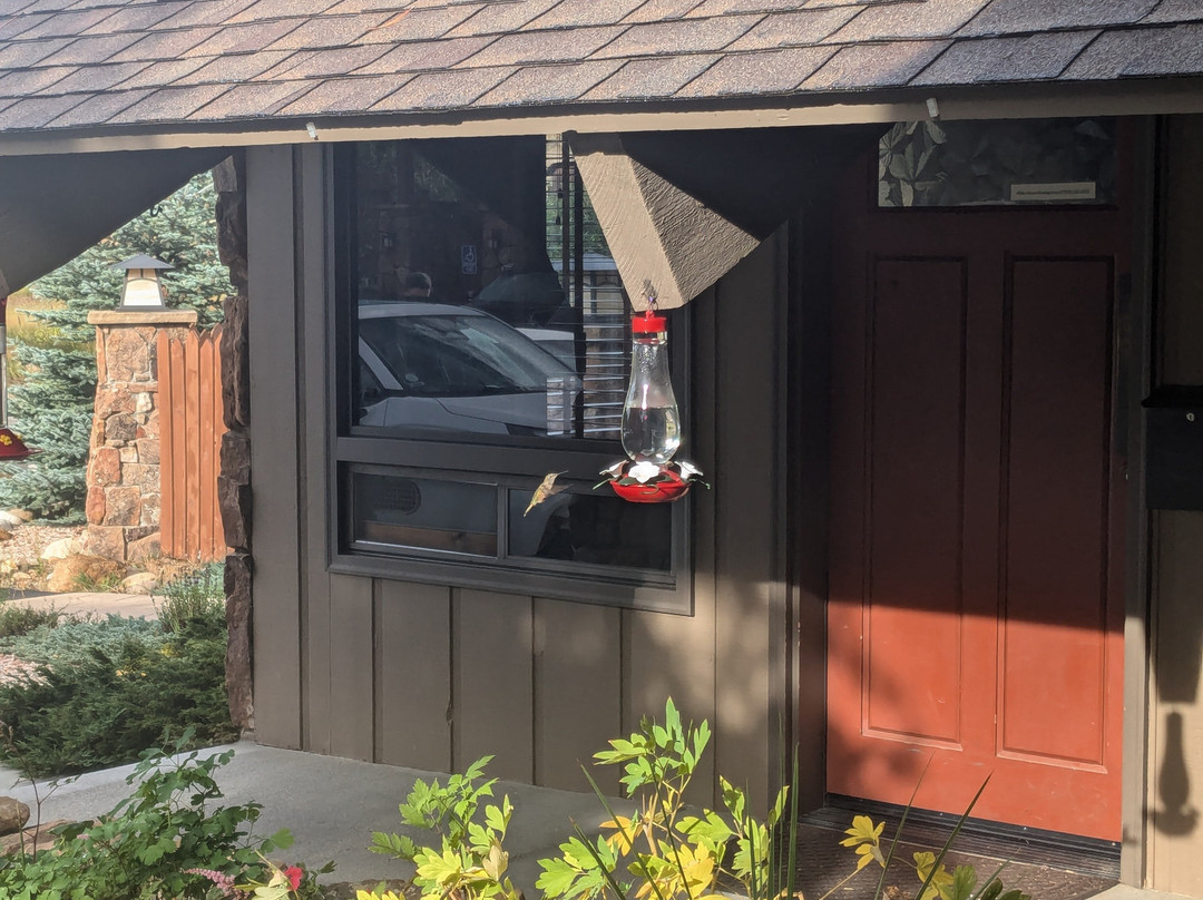 麦克斯韦尔酒店主图