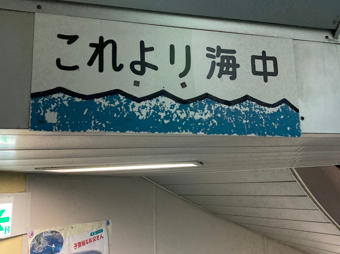 Katsuura Undersea Park-胜浦市必去景点