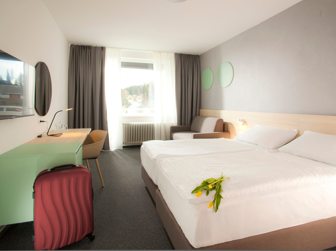 Terme Topolsica - Hotel Vesna主图
