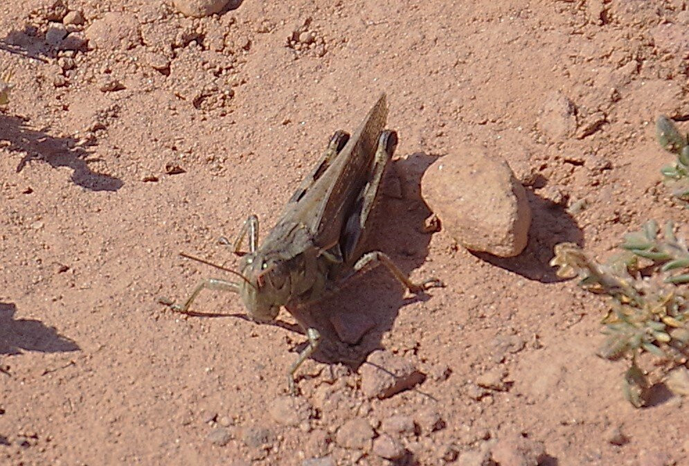 Port Borden Front Range Lighthouse-Borden-Carleton必去景点