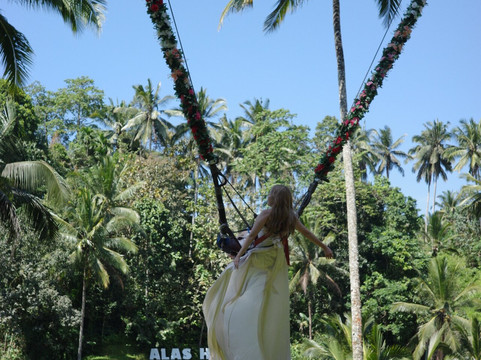 Bali delta tour-登巴萨必去景点