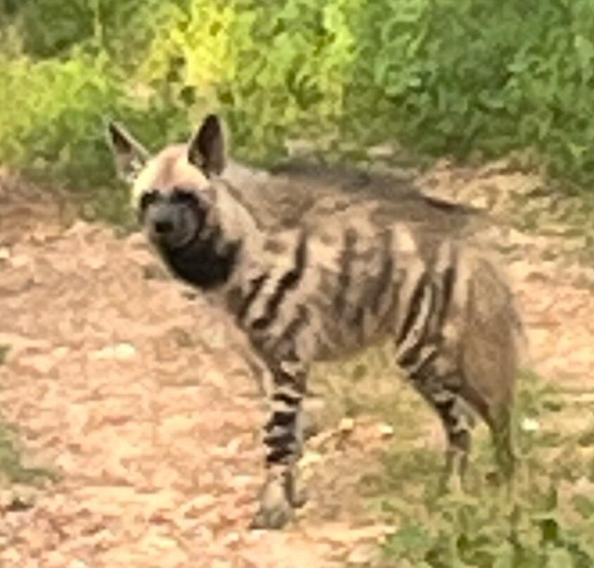 Amagarh Leopard Reserve-Kookas必去景点