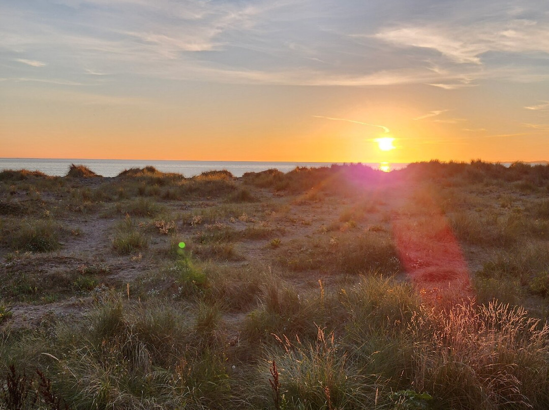 Barmouth Beach Club主图
