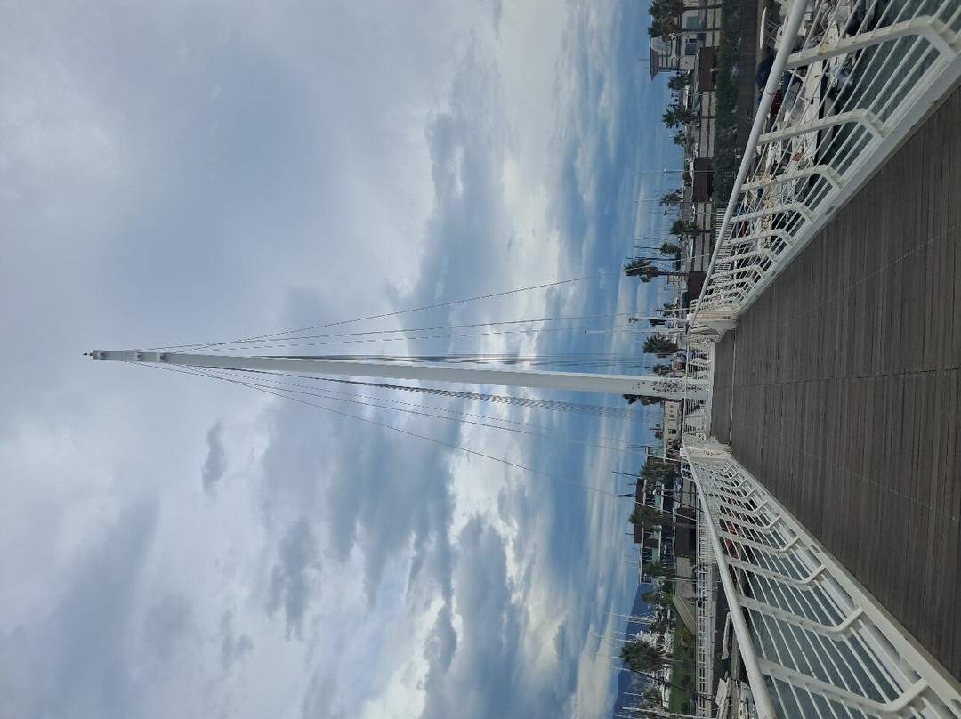 Ponte Thaon di Revel景点图片