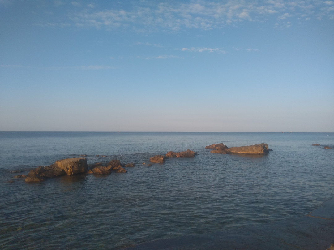 Cala del Leone景点图片