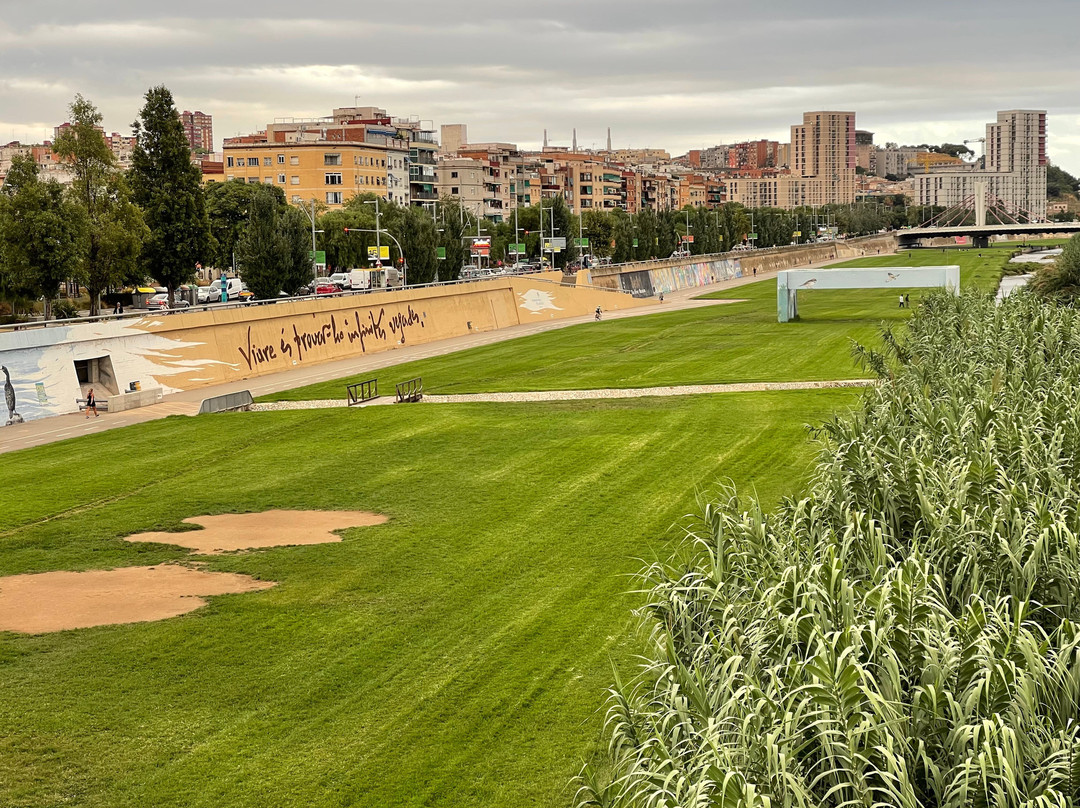 Parque Fluvial del Besos景点图片