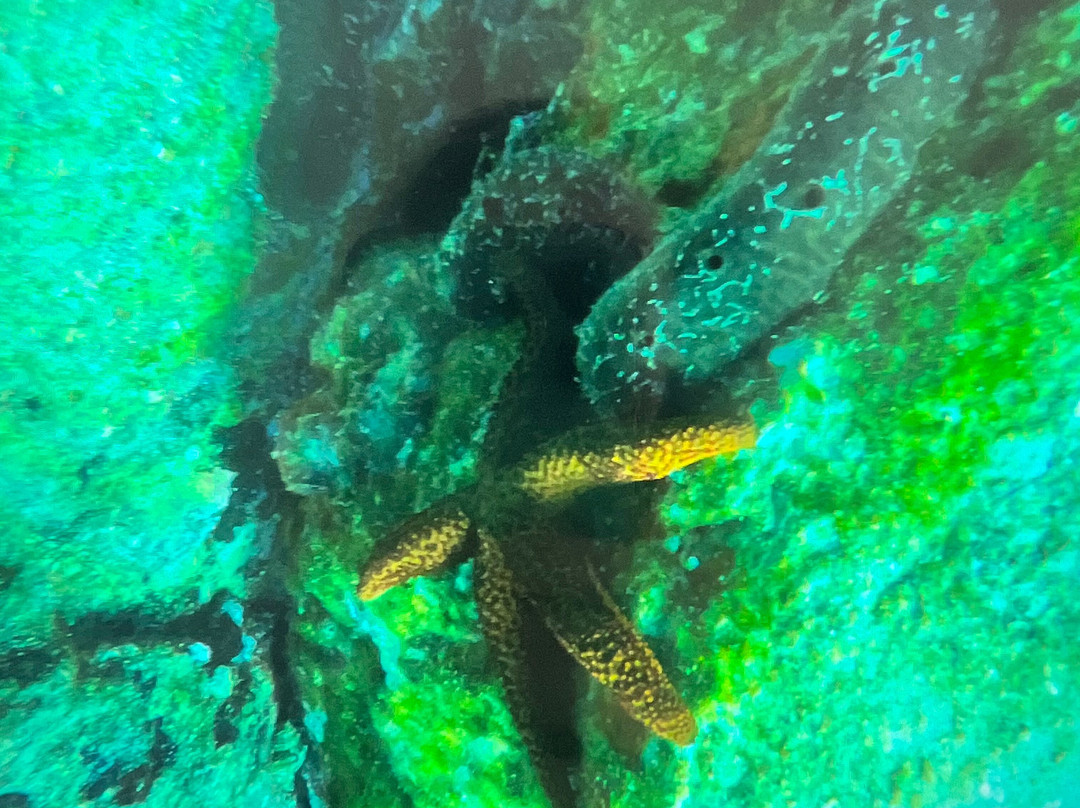 Mykonos Diving Center景点图片