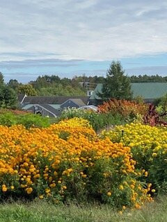 Broadturn Farm-斯卡伯勒必去景点