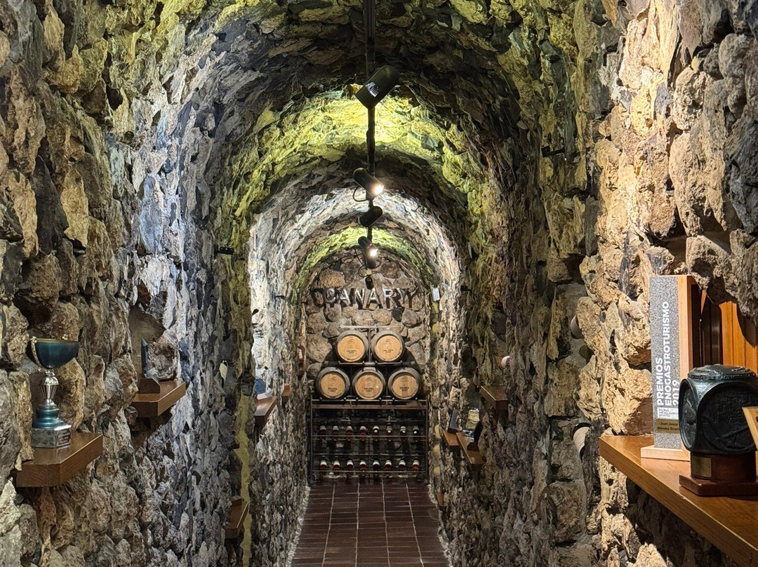 Bodega Viñatigo - Viñatigo Winery-La Guancha必去景点