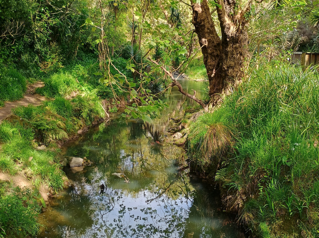 Oakley Creek Walkway-奥克兰中心地区必去景点