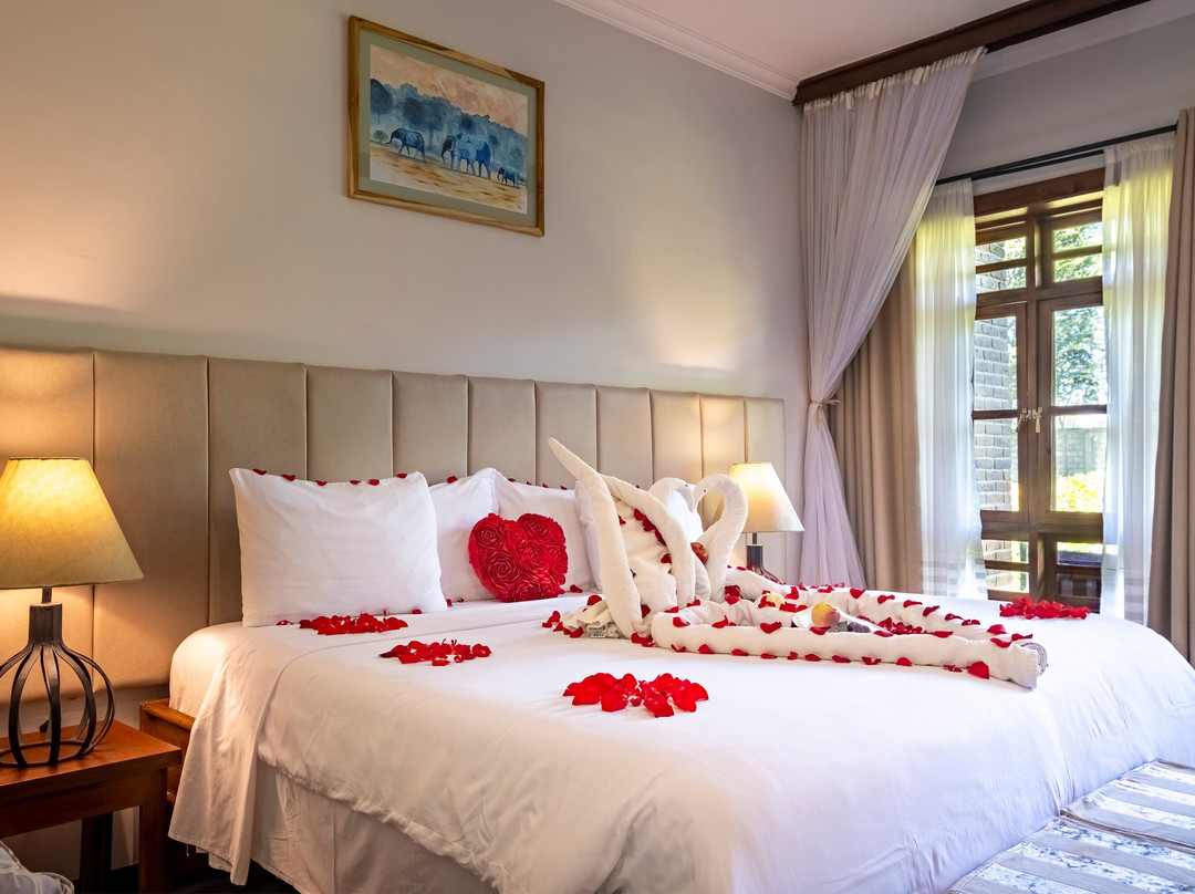 Airport Planet Lodge主图